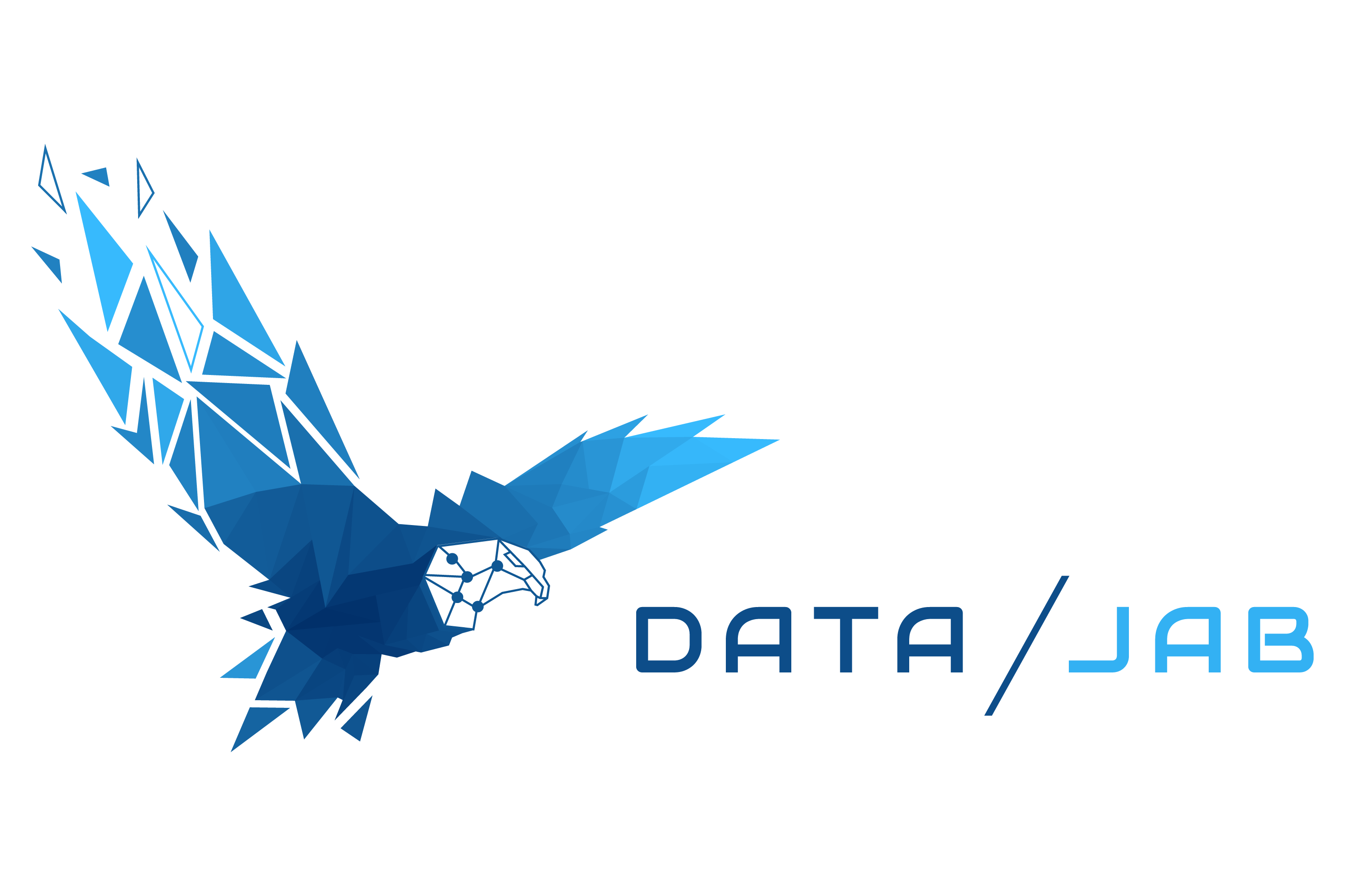 datajab logo